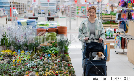 A woman shops at a grocery store with her Jack Russell terrier dog in a stroller. 134781015