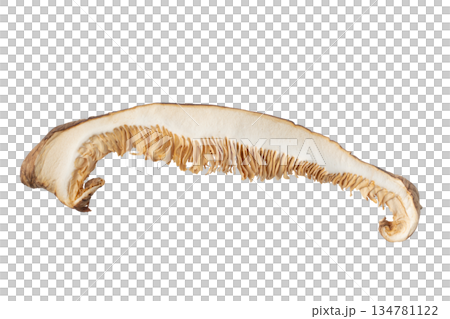 透明背景上的乾香菇（donko）切片（png） 134781122