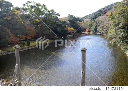 伊勢神宮内宮宇治橋より五十鈴川を臨む 134781194