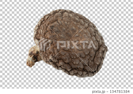 透明背景上的乾香菇（donko）（png） 134781384