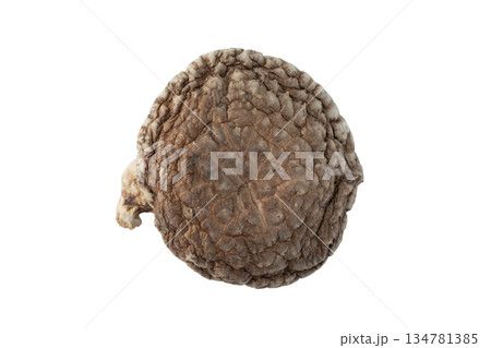 透明背景(png)に1個の干し椎茸(どんこ) 透明背景(png)に1個の干し椎茸(どんこ) 134781385