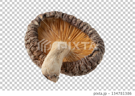 透明背景上的乾香菇(donko)(png) 透明背景上的乾香菇(donko)(png) 134781386