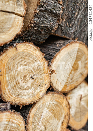 Stack of cut tree logs with visible annual rings. Natural wood background Stack of cut tree logs with visible annual rings. Natural wood background 134781424
