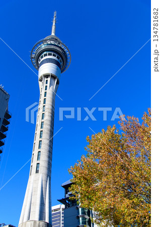 ニュージーランドのオークランドにあるスカイタワーの美しい風景 ニュージーランドのオークランドにあるスカイタワーの美しい風景 134781682