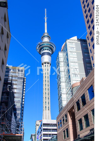 ニュージーランドのオークランドにあるスカイタワーの美しい風景 ニュージーランドのオークランドにあるスカイタワーの美しい風景 134781684