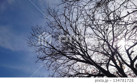 冬イメージ(winter image) 不景気などにも活用できます 冬イメージ(winter image) 不景気などにも活用できます 134781728