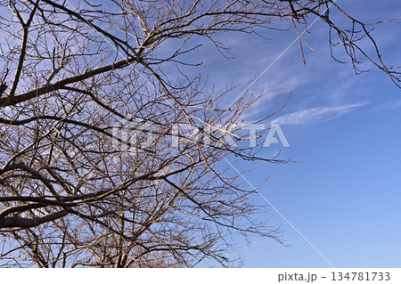 冬イメージ(winter image) 不景気などにも活用できます 冬イメージ(winter image) 不景気などにも活用できます 134781733