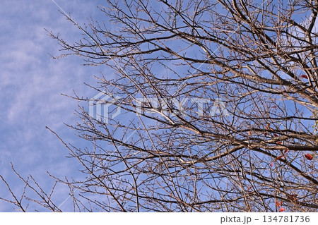 冬イメージ(winter image) 不景気などにも活用できます 冬イメージ(winter image) 不景気などにも活用できます 134781736