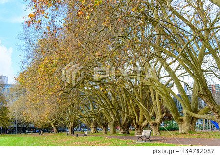 ニュージーランドのオークランドにあるビクトリアパークの美しい風景 134782087