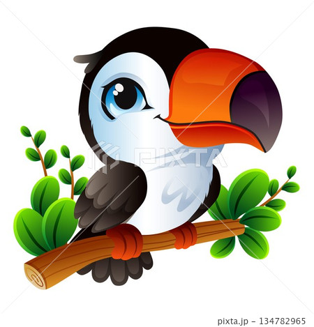 happy bright toucan tropical summer bird happy bright toucan tropical summer bird 134782965