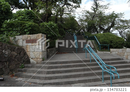 桜木町 掃部山公園 桜木町 掃部山公園 134783221