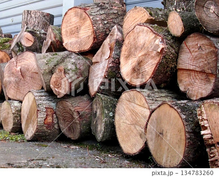 積み上げられた丸太と原木の山｜林業・木材資源のイメージ 134783260