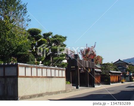 青空に映える日本の神社参道と門の風景 青空に映える日本の神社参道と門の風景 134783289