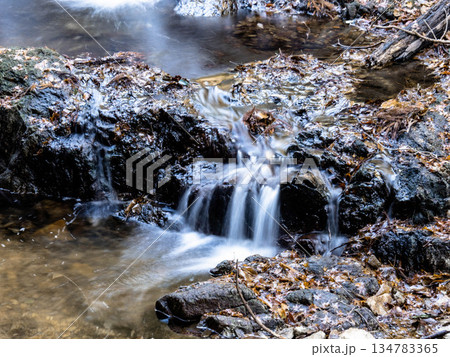 神戸市灘の青谷の渓流と小瀧 134783365