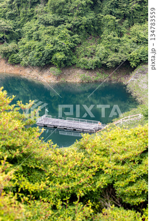 遊覧船乗り場 134783559