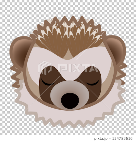 刺蝟臉部插圖 刺蝟臉部插圖 134783616