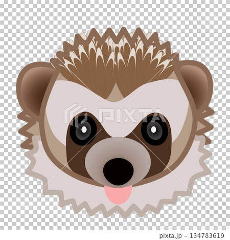 刺蝟臉部插圖 刺蝟臉部插圖 134783619