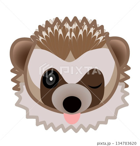 ハリネズミの顔のイラスト 134783620