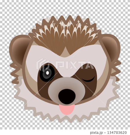 ハリネズミの顔のイラスト 134783620