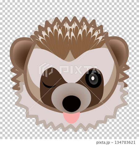 ハリネズミの顔のイラスト ハリネズミの顔のイラスト 134783621