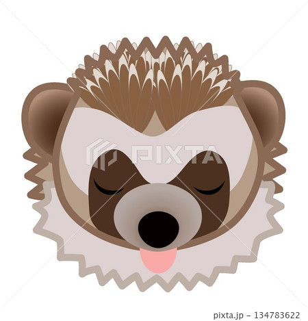 ハリネズミの顔のイラスト 134783622