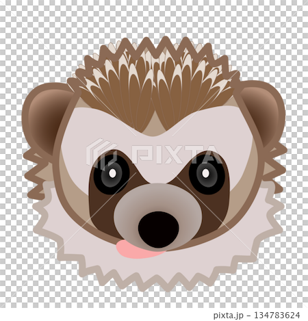 ハリネズミの顔のイラスト 134783624