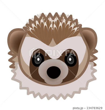 ハリネズミの顔のイラスト 134783629