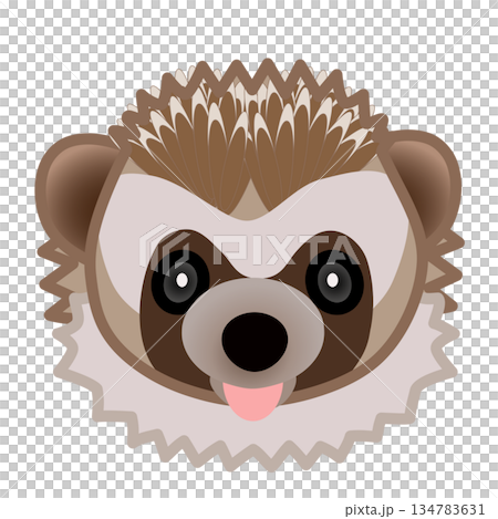 ハリネズミの顔のイラスト 134783631