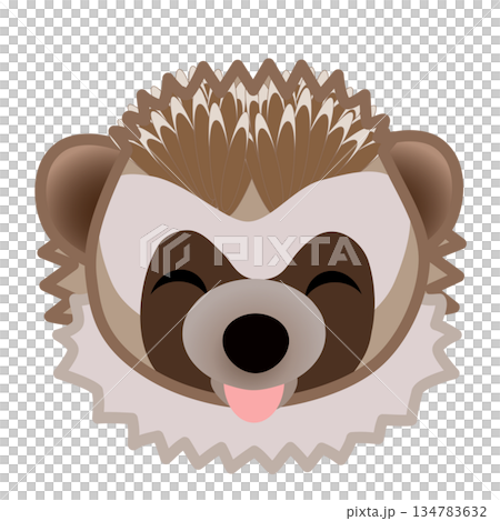 ハリネズミの顔のイラスト 134783632