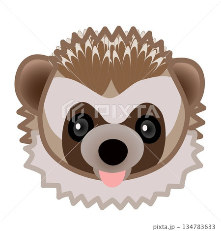 ハリネズミの顔のイラスト 134783633