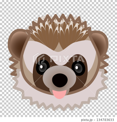 ハリネズミの顔のイラスト 134783633