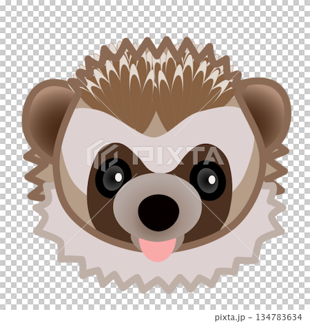 ハリネズミの顔のイラスト 134783634