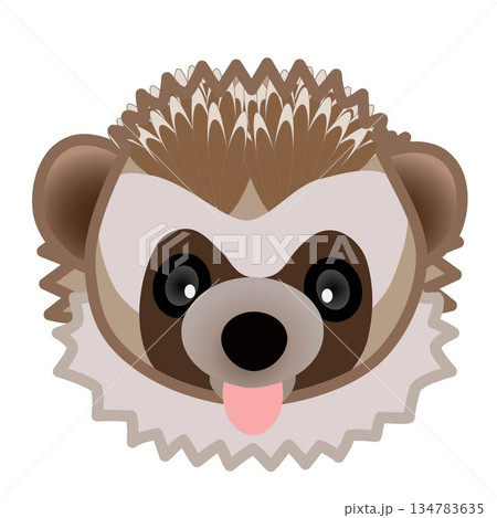 ハリネズミの顔のイラスト 134783635
