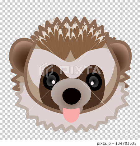 ハリネズミの顔のイラスト 134783635