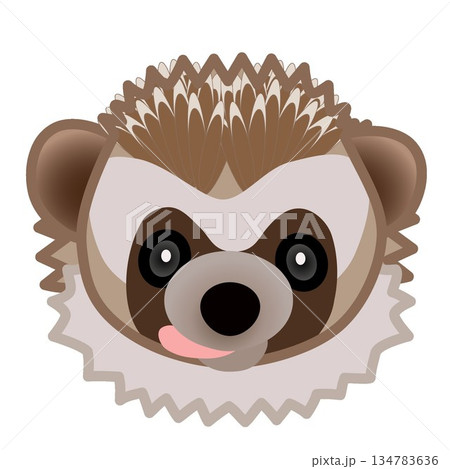 ハリネズミの顔のイラスト ハリネズミの顔のイラスト 134783636