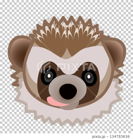 刺蝟臉部插圖 134783636