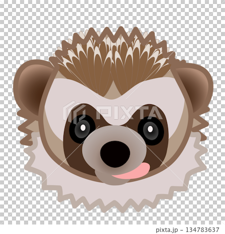 刺蝟臉部插圖 刺蝟臉部插圖 134783637