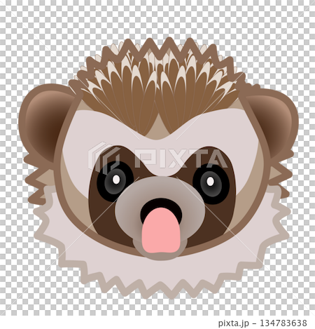 刺蝟臉部插圖 刺蝟臉部插圖 134783638