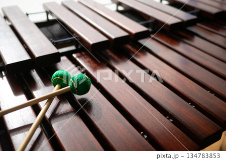 マリンバと緑色のマレット マリンバと緑色のマレット 134783853