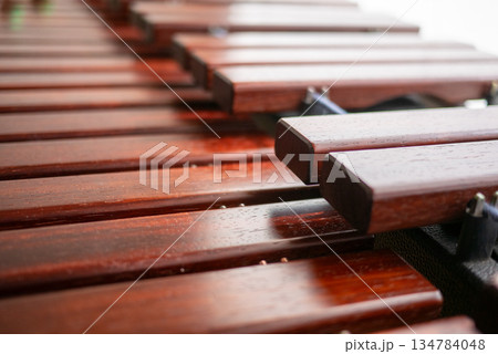 マリンバ 134784048