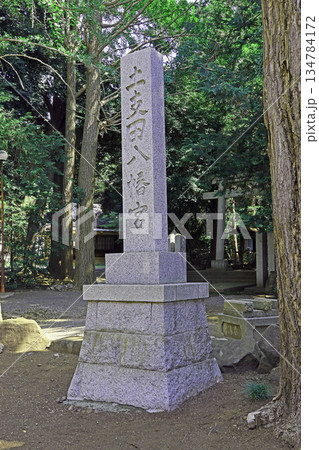 土支田八幡宮(練馬) 土支田八幡宮(練馬) 134784172