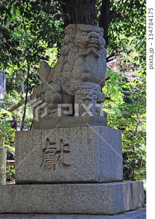 土支田八幡宮（練馬） 134784175