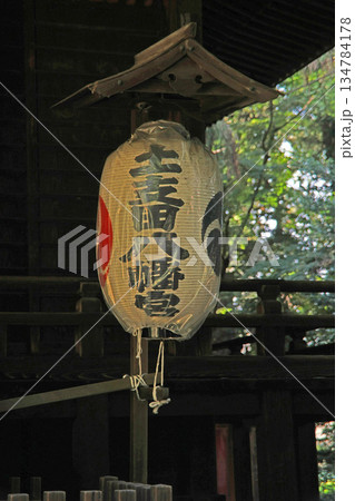 土支田八幡宮(練馬) 土支田八幡宮(練馬) 134784178