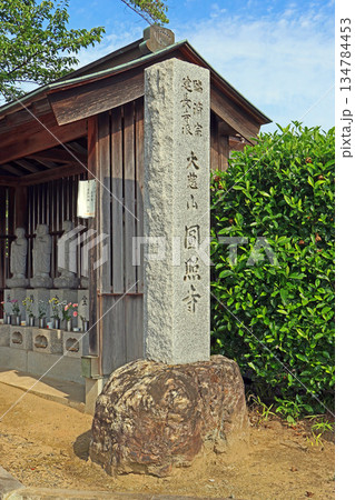 円照寺（稲城） 134784453