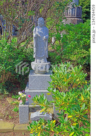 円照寺（稲城） 134784459