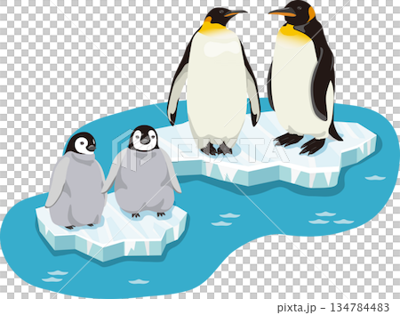 Emperor penguin and chick on ice 134784483