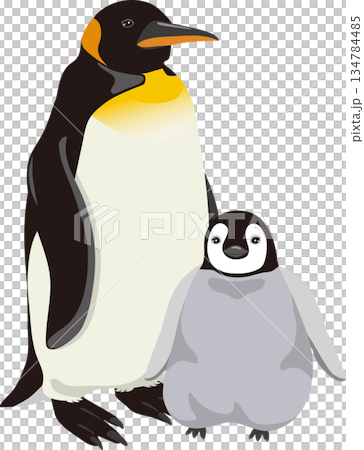 Cute Emperor Penguin and Chick 134784485