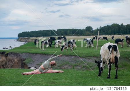 Caucasian woman doing yoga on the river bank among a herd of cows. Caucasian woman doing yoga on the river bank among a herd of cows. 134784586