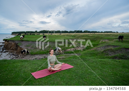 Caucasian woman doing yoga on the river bank among a herd of cows.  134784588