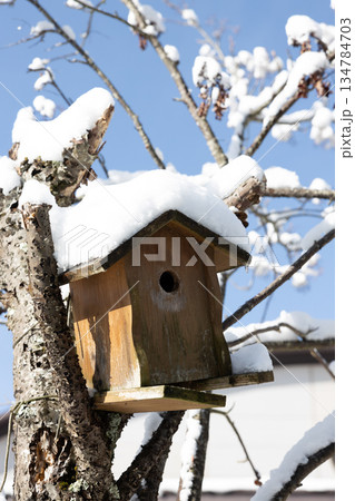 屋根に雪の積もったの積もった巣箱 屋根に雪の積もったの積もった巣箱 134784703
